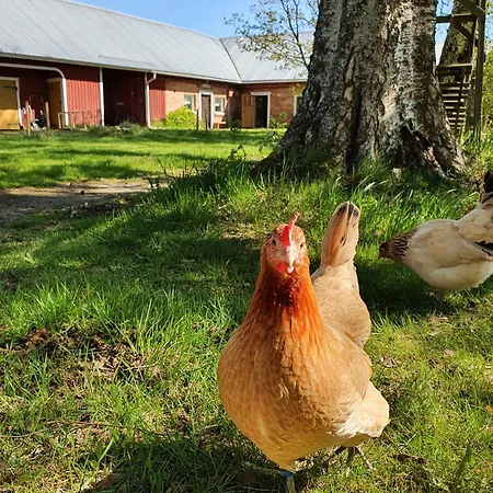 Apartman Loft At Ruutin Kartano *