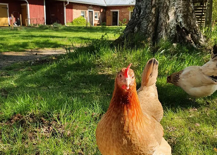 Lejlighed Loft At Ruutin Kartano *